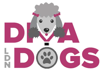 Diva Dogs London Logo